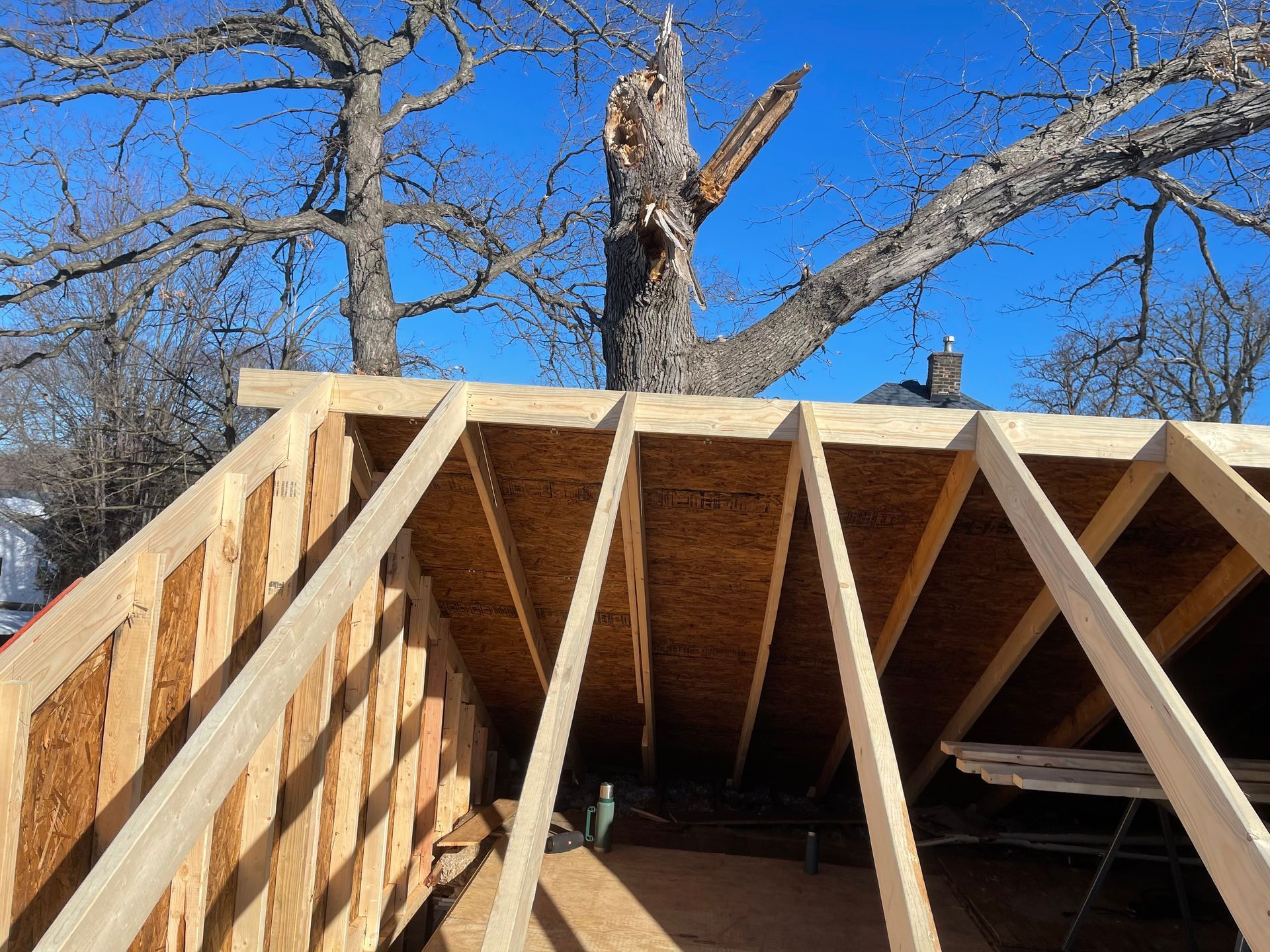 Wooden roof frame under construction with a large tree in the background against a blue sky.
