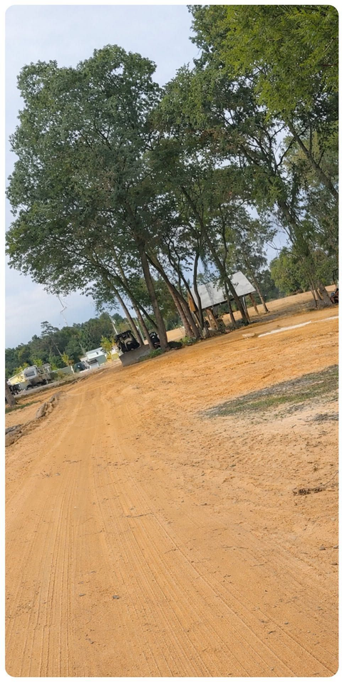 Dusty dirt road curving past tall green trees under a bright sky