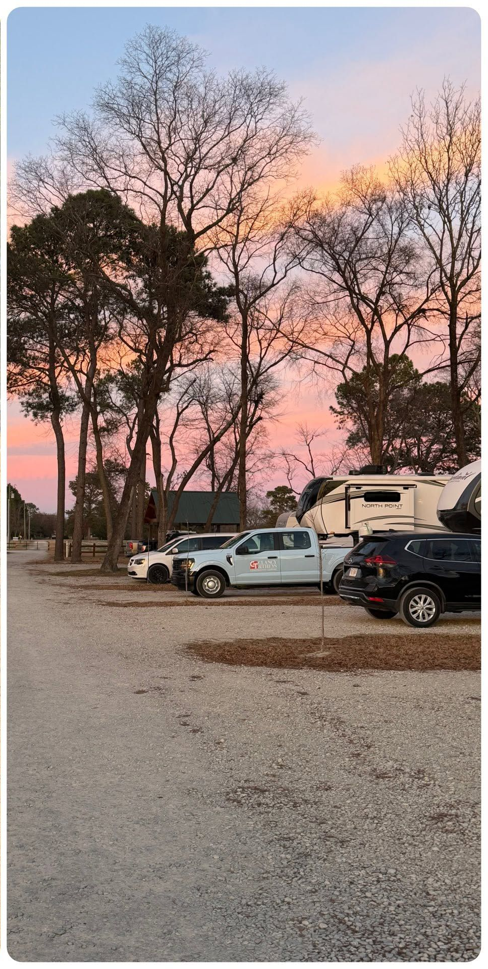 Parked cars under leafless trees at sunset, with pink and orange sky over a gravel lot.
