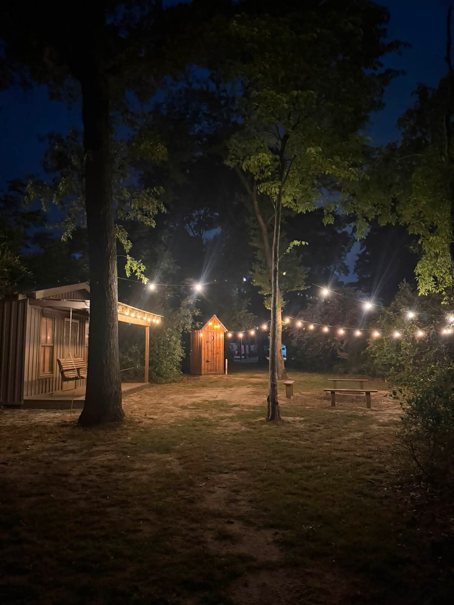 Snowy yard with a small wooden shed and tall trees at dusk
