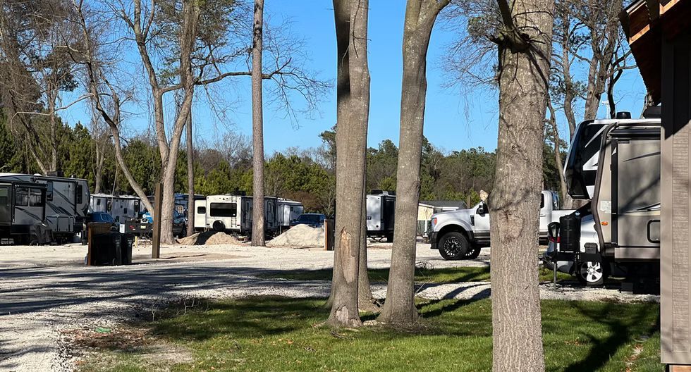 RVs and trucks parked among leafless trees in a campground under a clear blue sky
