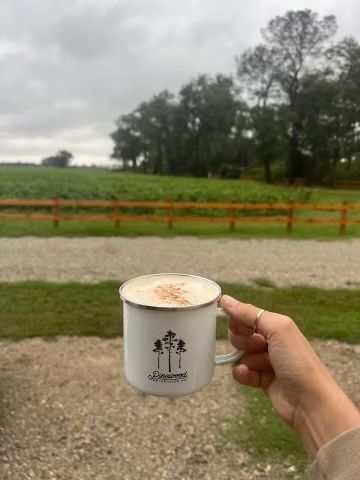 Hand holding a white mug outdoors by a gravel path, with trees, fence, and cloudy sky in the background.