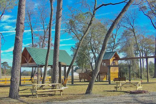 Wooded park with picnic tables, a green-roof pavilion, and a playground under a bright blue sky