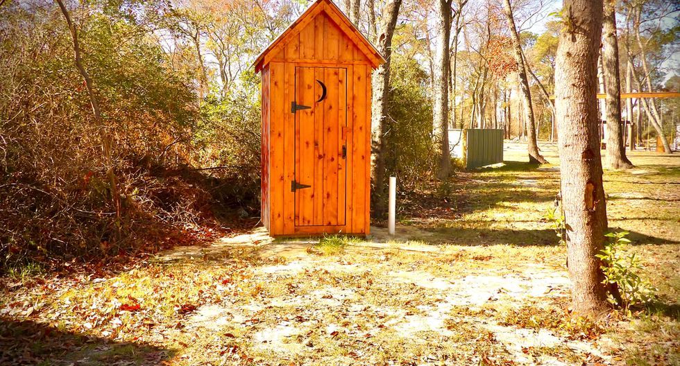 Orange wooden shed in a wooded yard with fallen leaves and autumn sunlight