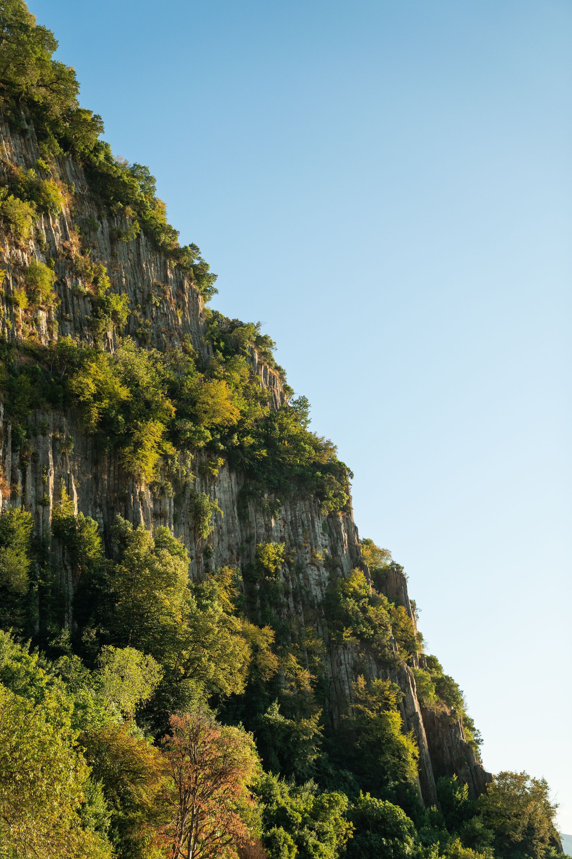 Cliffs of the Neuse