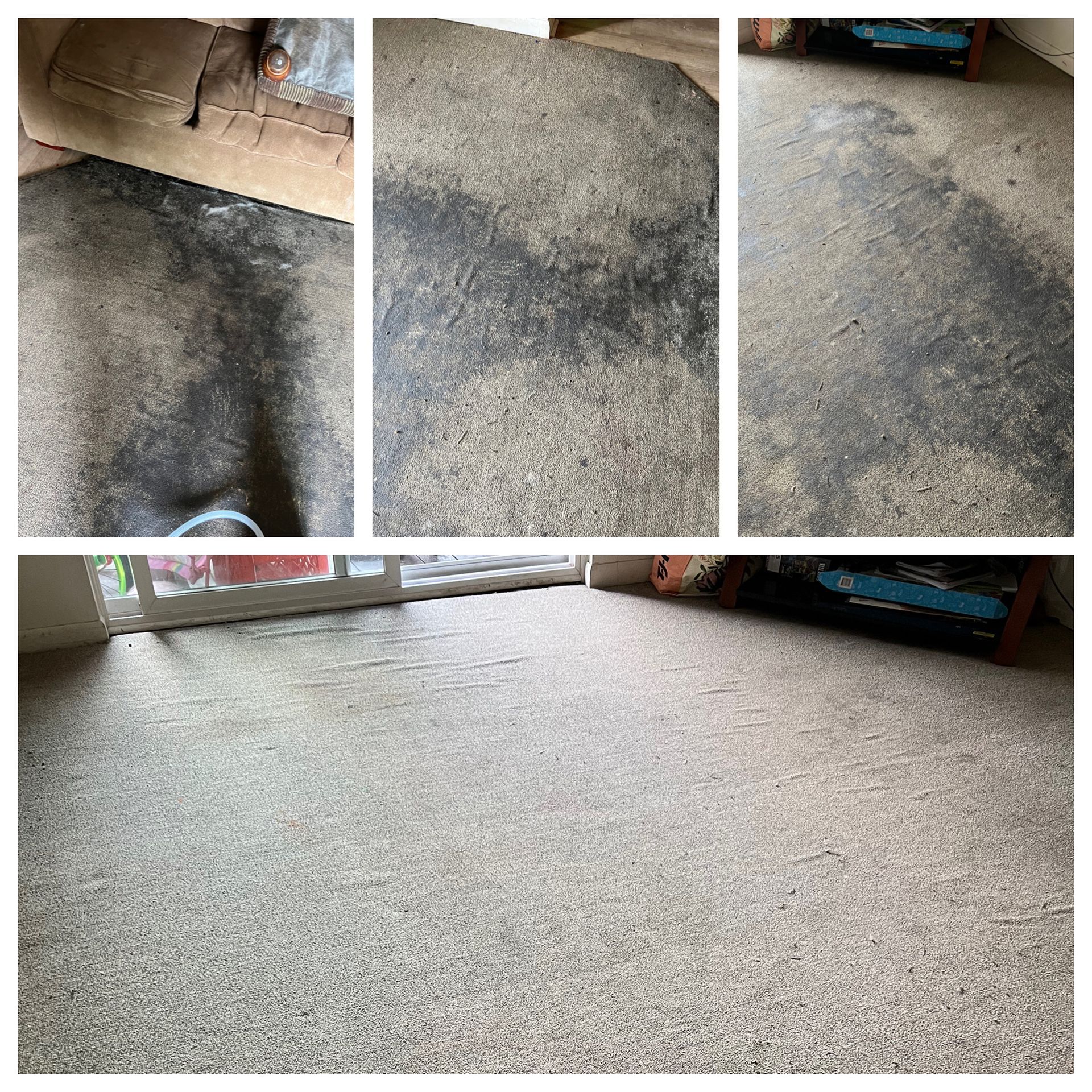 A collage of four pictures of a dirty carpet in a living room.