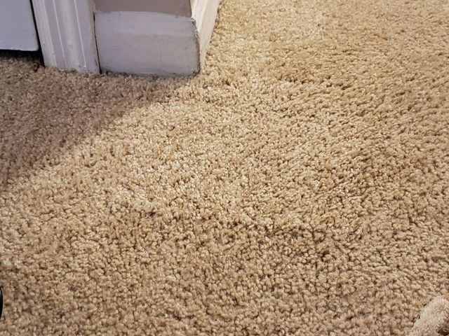 A close up of a tan carpet in a room next to a door.