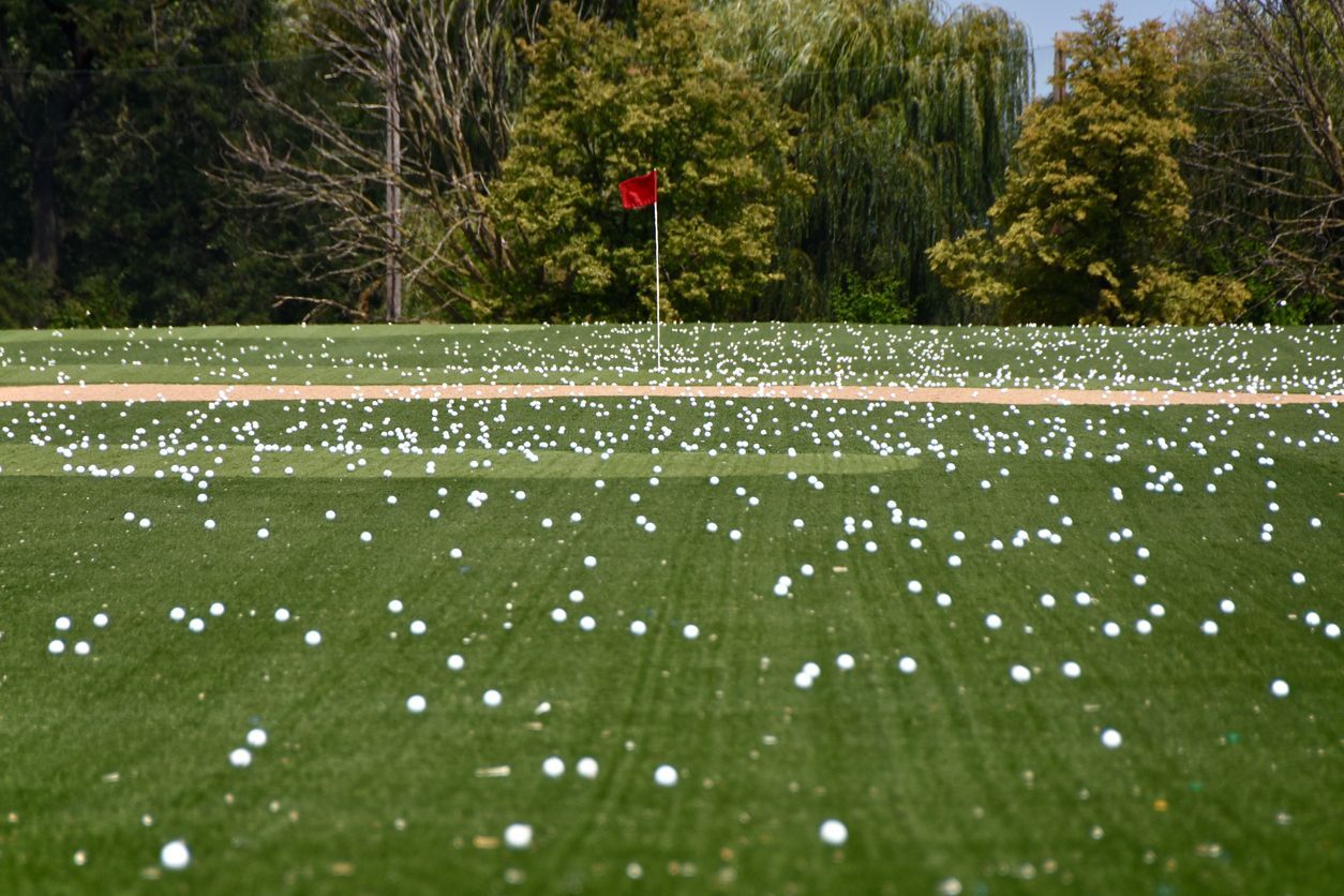 Golf extended study programs