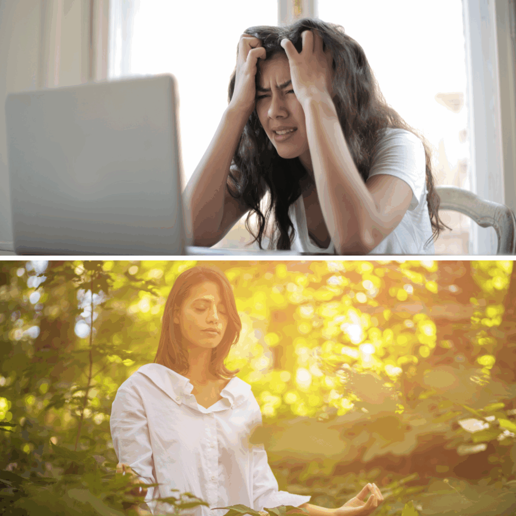 A Woman Looks Stressed in Front of a Laptop — Michelle Crutcher Business Coaching & Consulting in The Entrance North, NSW