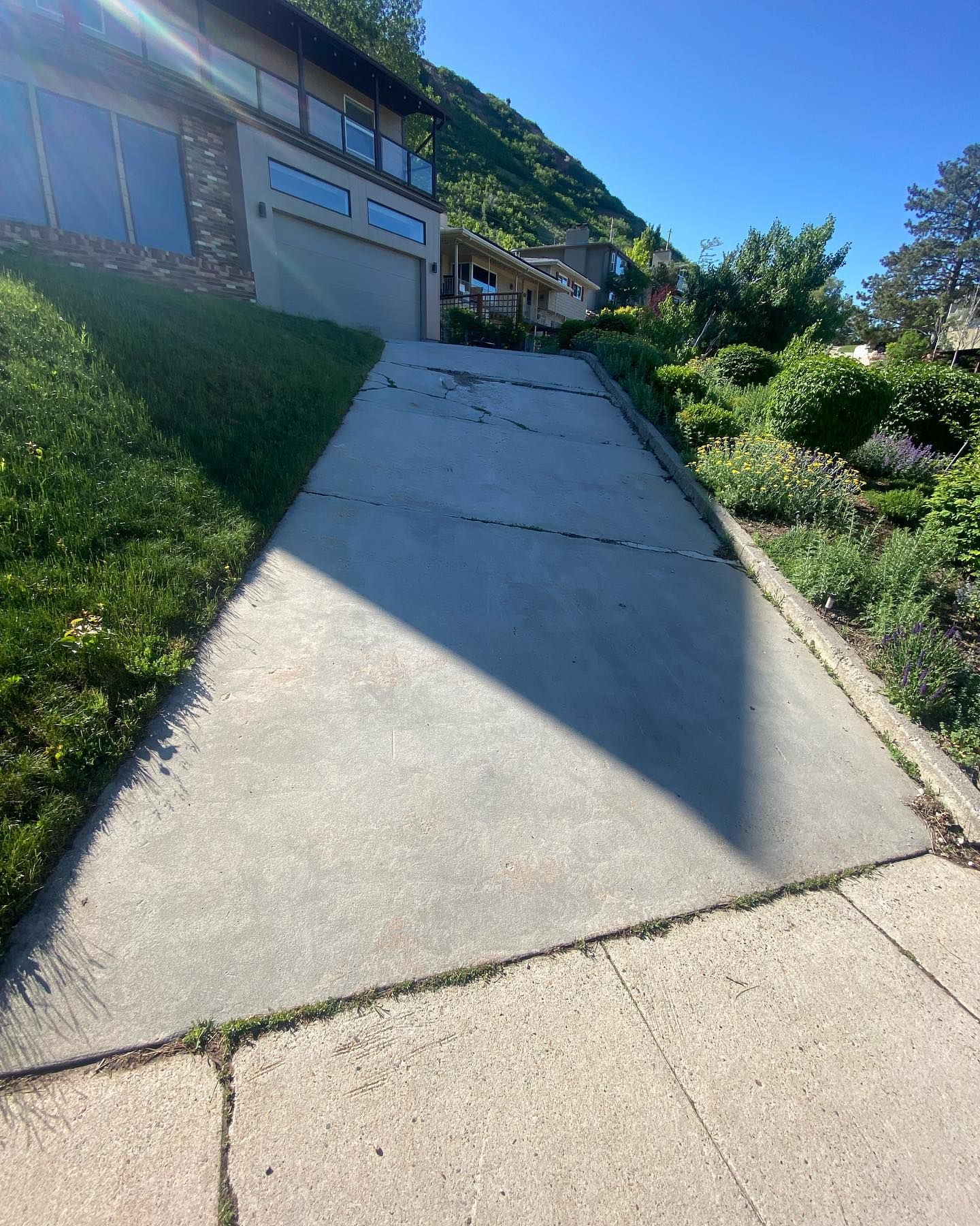 A concrete driveway leading to a house on a sunny day