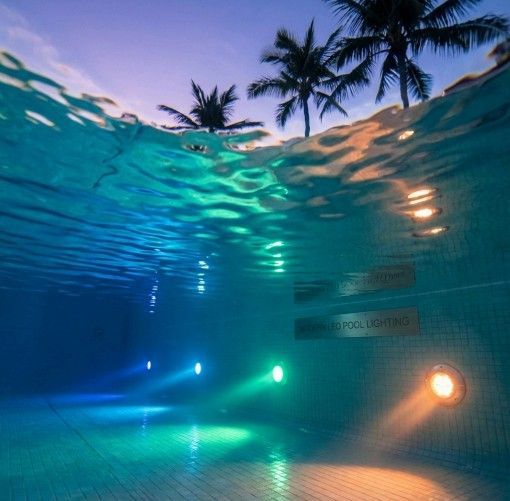 Underwater view of a pool with colorful lights; palm trees are silhouetted against a dusky sky.