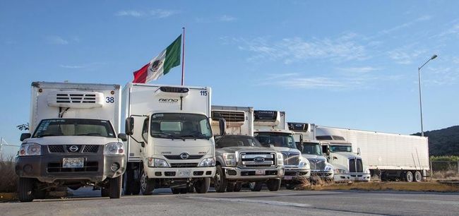 Transportes Refrigerados TRT Transportes Refrigerados TRT