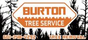 A logo for burton tree service with trees in the background