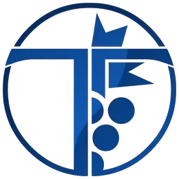 Blue logo: a cross-shaped 