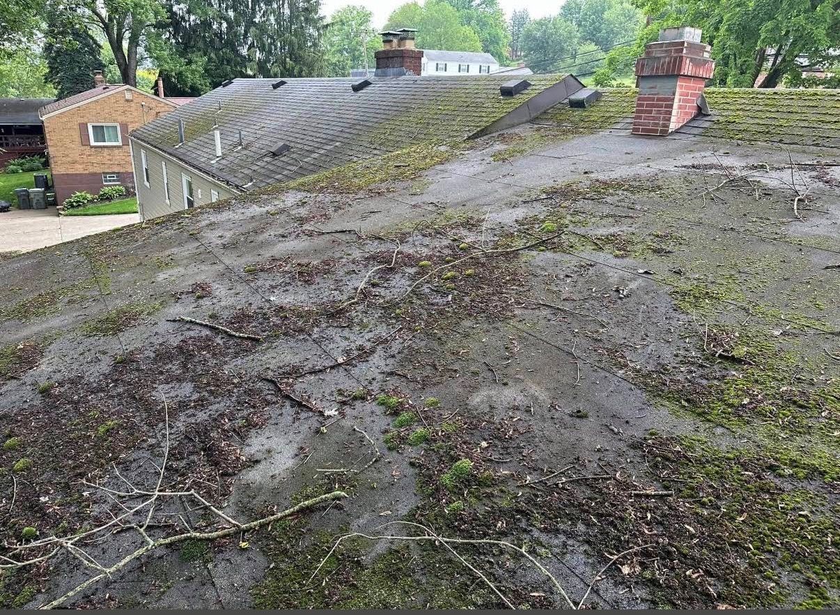 moss covered roof before roof  pressure washing services