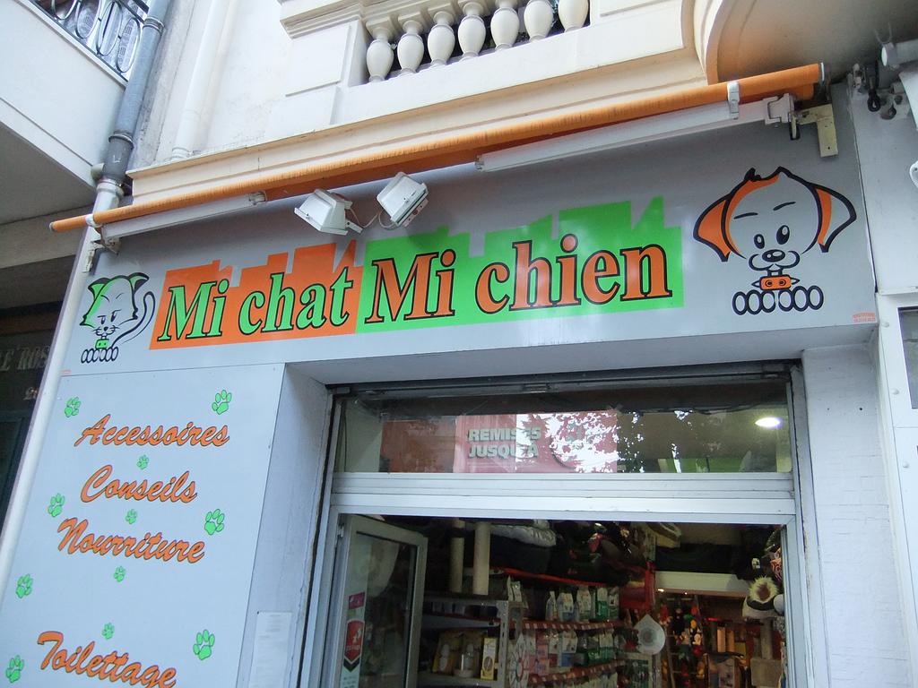 Mi chat Mi chien