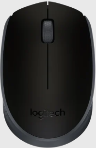 Logitech M171 Wireless Mouse (Black)