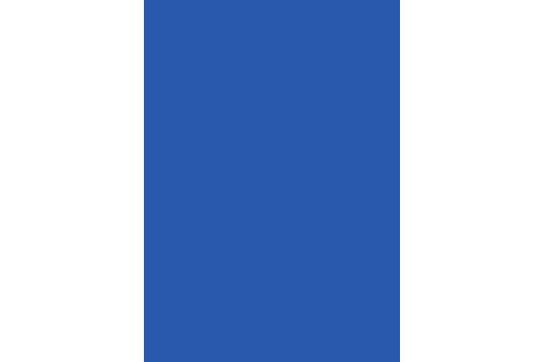 RW Single 0.7x5m Uni Plain Blue