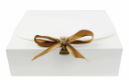 RECTANGLE WHITE BOXES 24x19.5x7cm