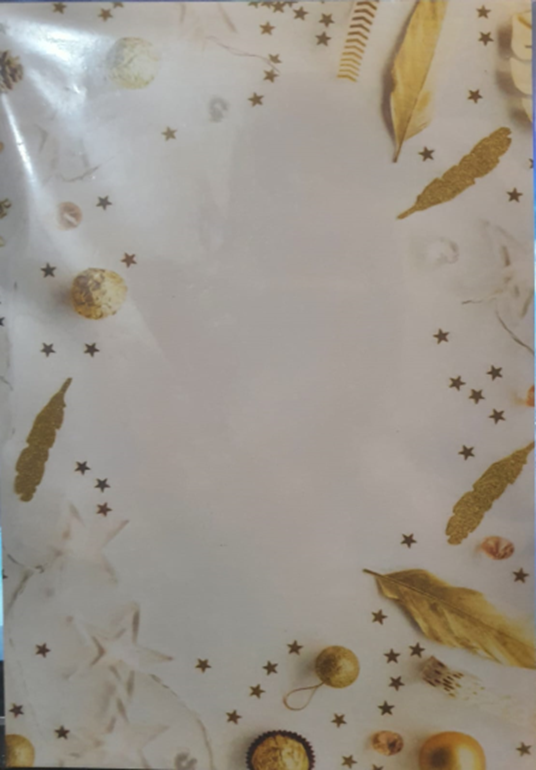 A5 Gold Feathers Papers