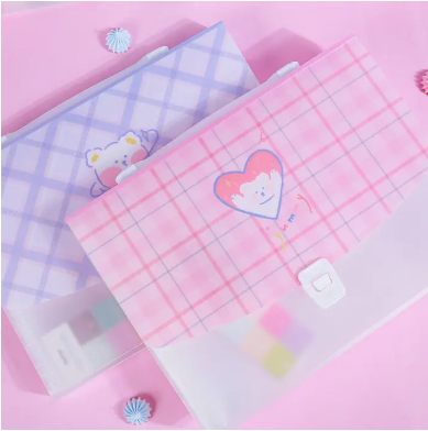 Cute Expanding Folder