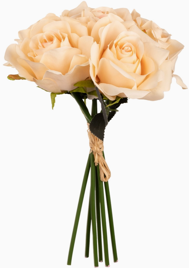 Eugenie Rose Bunch X 6 Nude