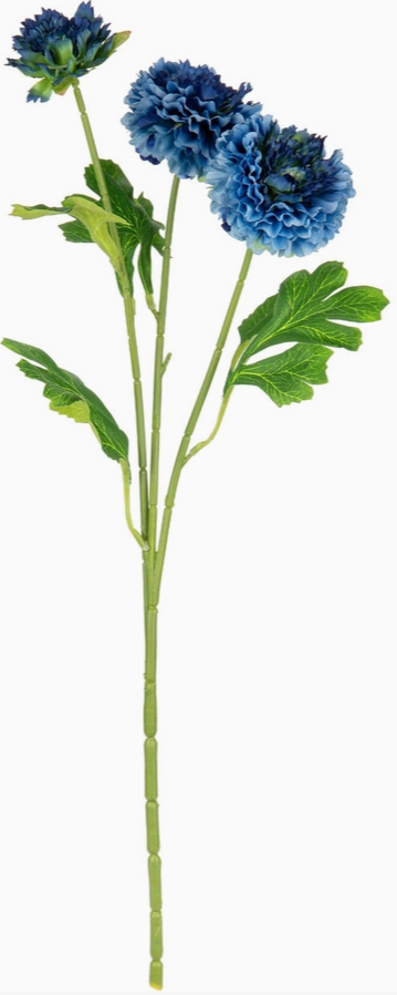 Oriental Aster Spray X 3 Blue