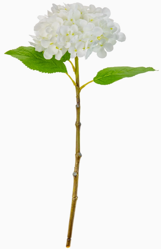 Small Head Hydrangea Pure White