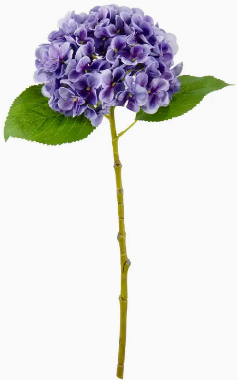 Small Head Hydrangea Lavender