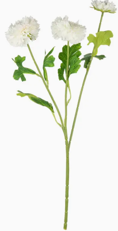 Oriental Aster Spray X 3 White