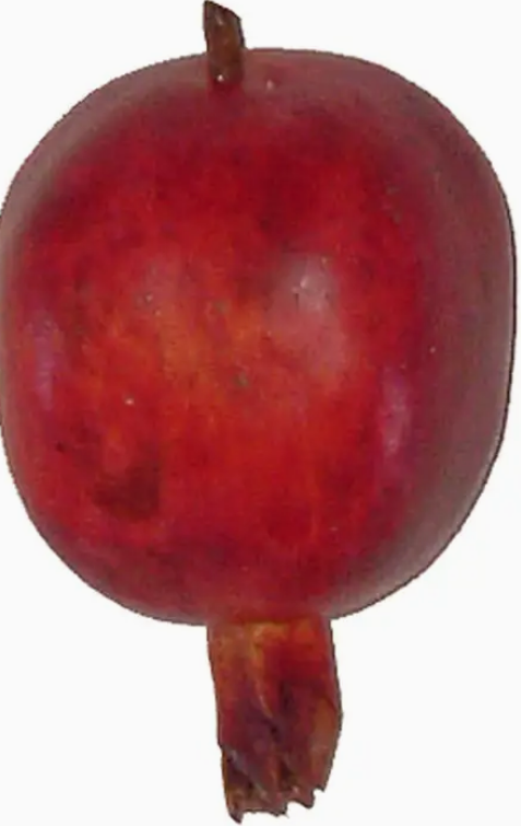 7.5cm Pomegranate