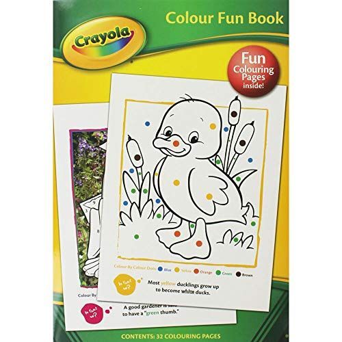 COLOUR FUN BOOK CRAYOLA