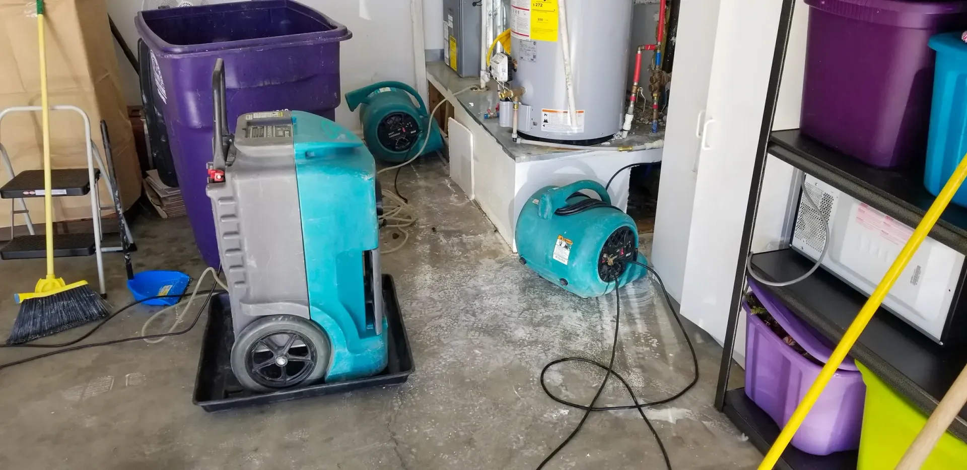 Garage storage area with a blue and gray shop vacuum, purple bins, and cleaning tools on shelving