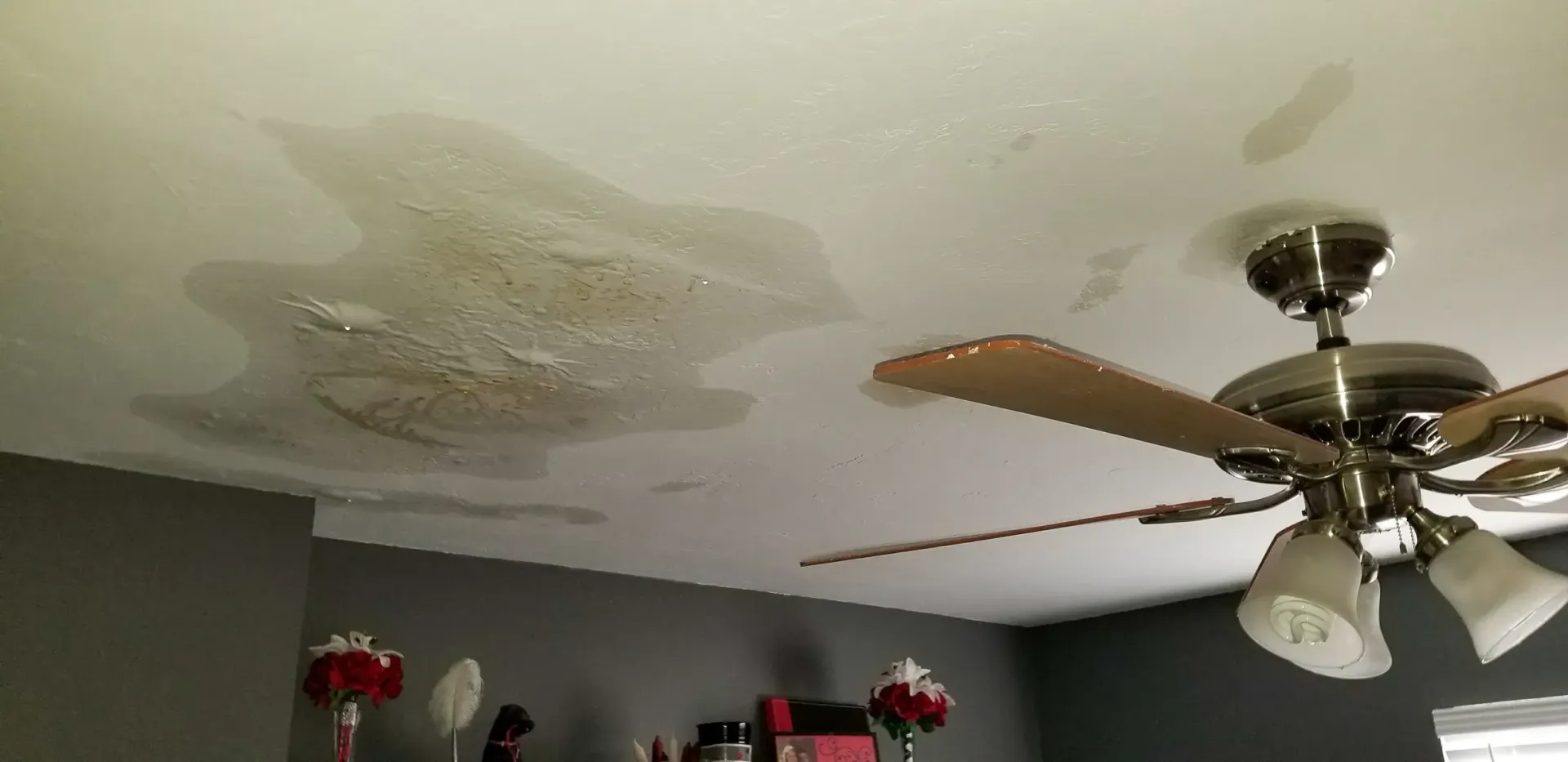 Water-stained ceiling near a ceiling fan and light fixture in a room