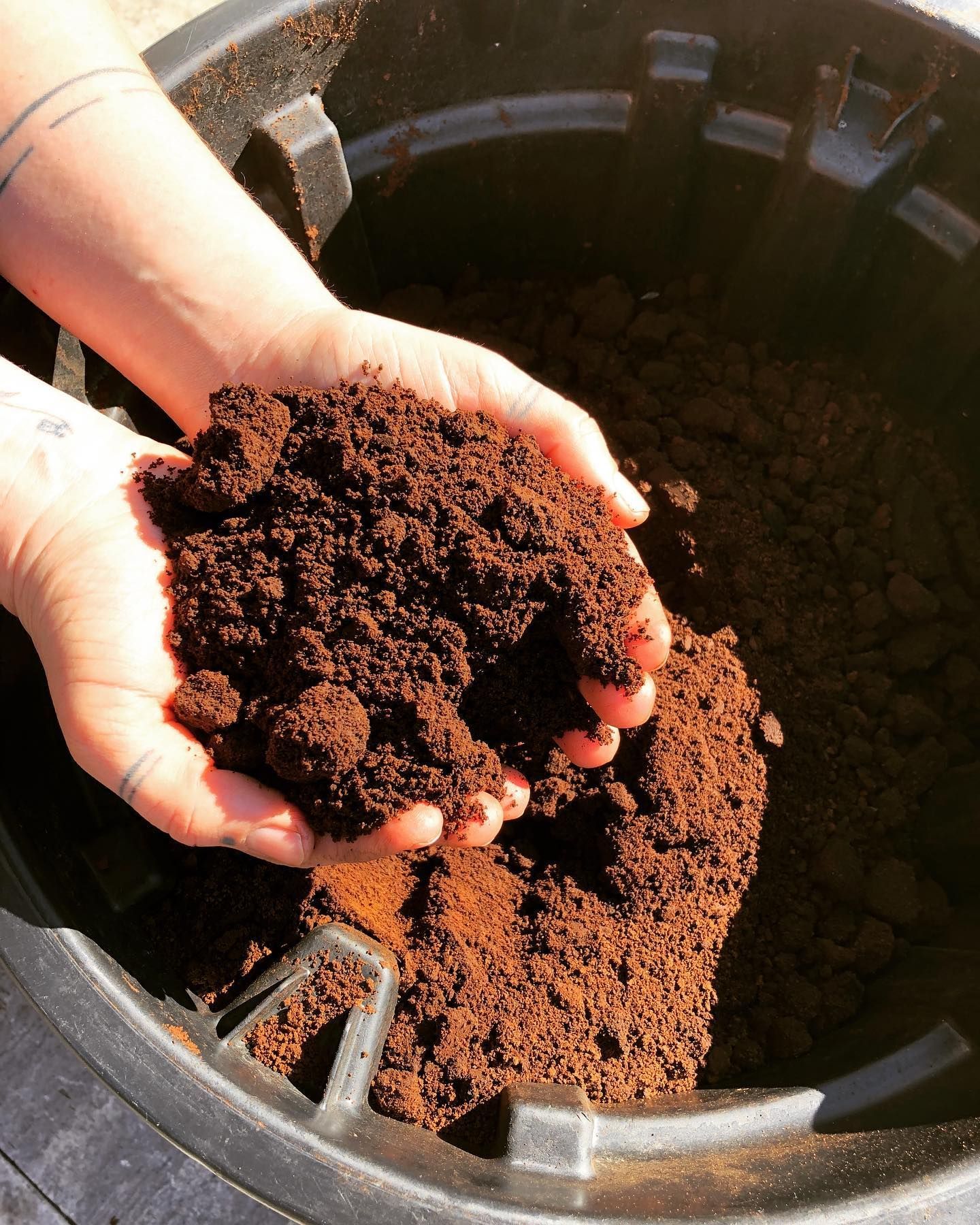 A Person Is Holding A Pile Of Dirt In Their Hands — Schutz Landscape and Garden Supplies in Tomerong, NSW