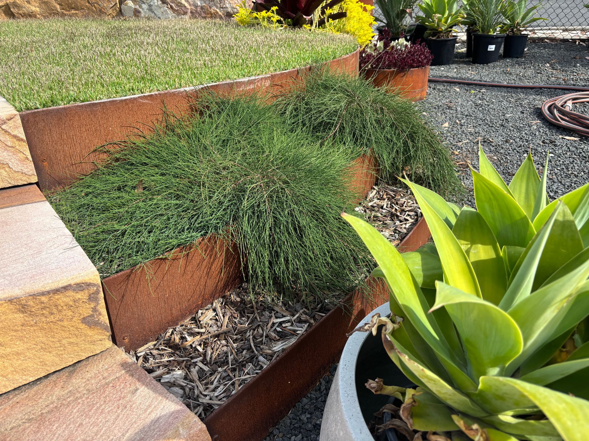 Rust-coloured tiered garden bed with green plants and tan stone edging, near potted plants and gravel — Schutz Landscape and Garden Supplies in Tomerong, NSW