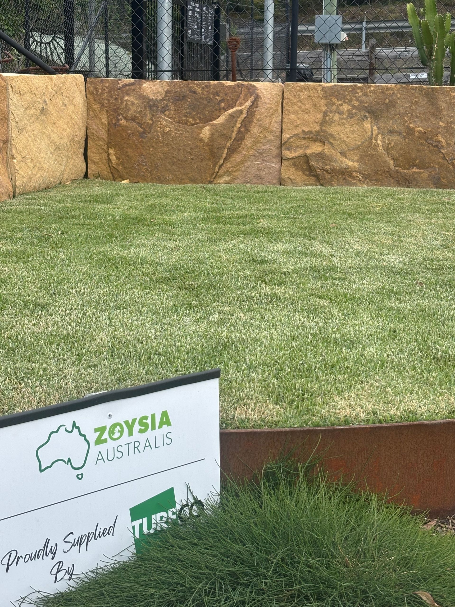 Grass Turf In Backyard — Schutz Landscape and Garden Supplies in Tomerong, NSW