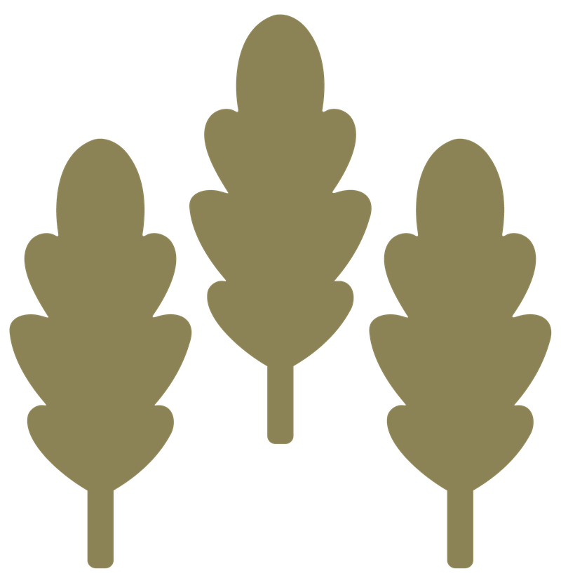 Trees Icon