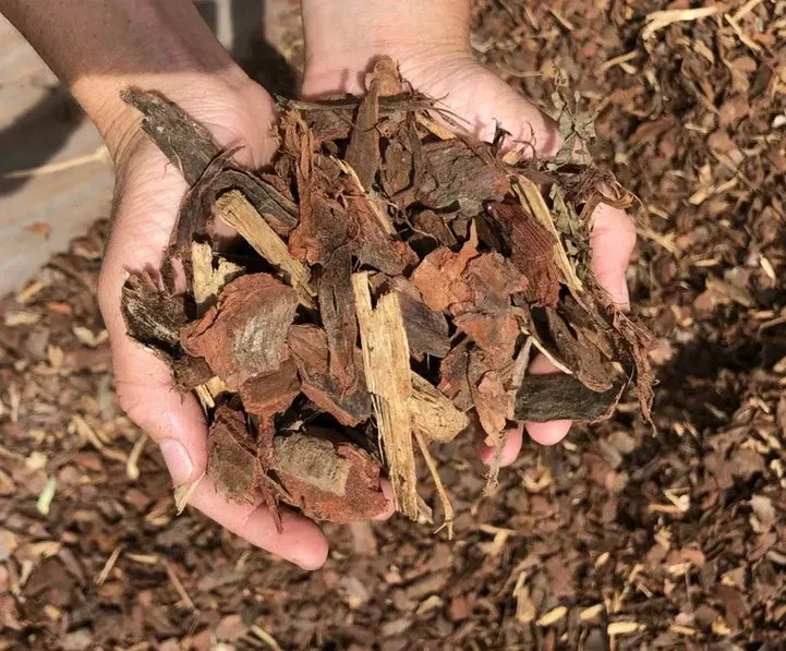 Pine Bark 25mm — Schutz Landscape and Garden Supplies in Tomerong, NSW
