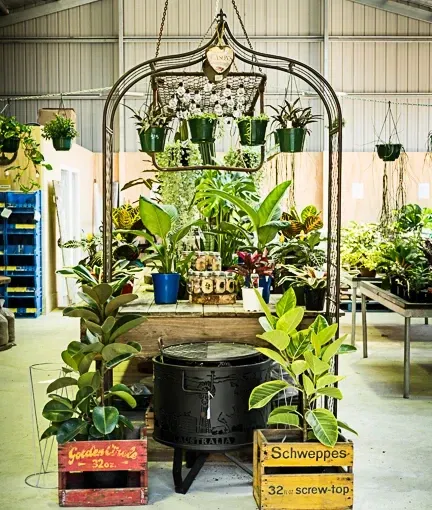 A Warehouse Filled With Lots Of Potted Plants And A Fire Pit — Schutz Landscape and Garden Supplies in Tomerong, NSW