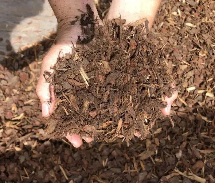 Pine Bark 10mm — Schutz Landscape and Garden Supplies in Tomerong, NSW