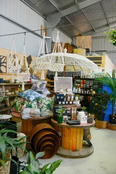 A Warehouse Filled With Lots Of Potted Plants And A Chandelier — Schutz Landscape and Garden Supplies in Tomerong, NSW