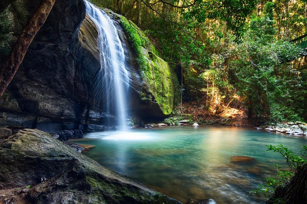 A Waterfall In The Middle Of A Forest Next To A River — Gympie Septic Pump Outs In Buderim, QLD