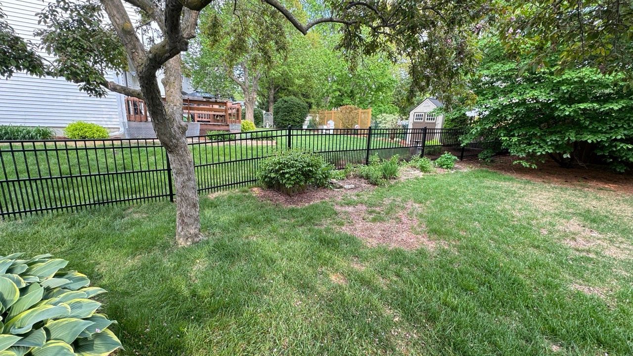 Tree-shaded backyard with green lawn, garden bed, black fence, and house in the background