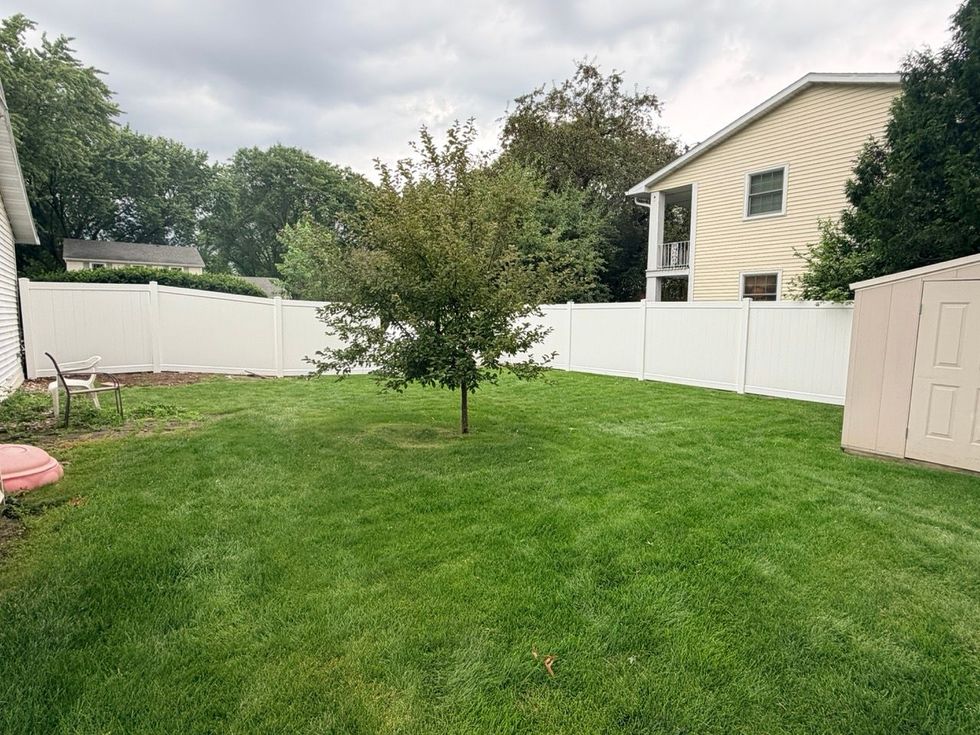Backyard with green lawn, young tree, white fence, and beige shed under overcast sky