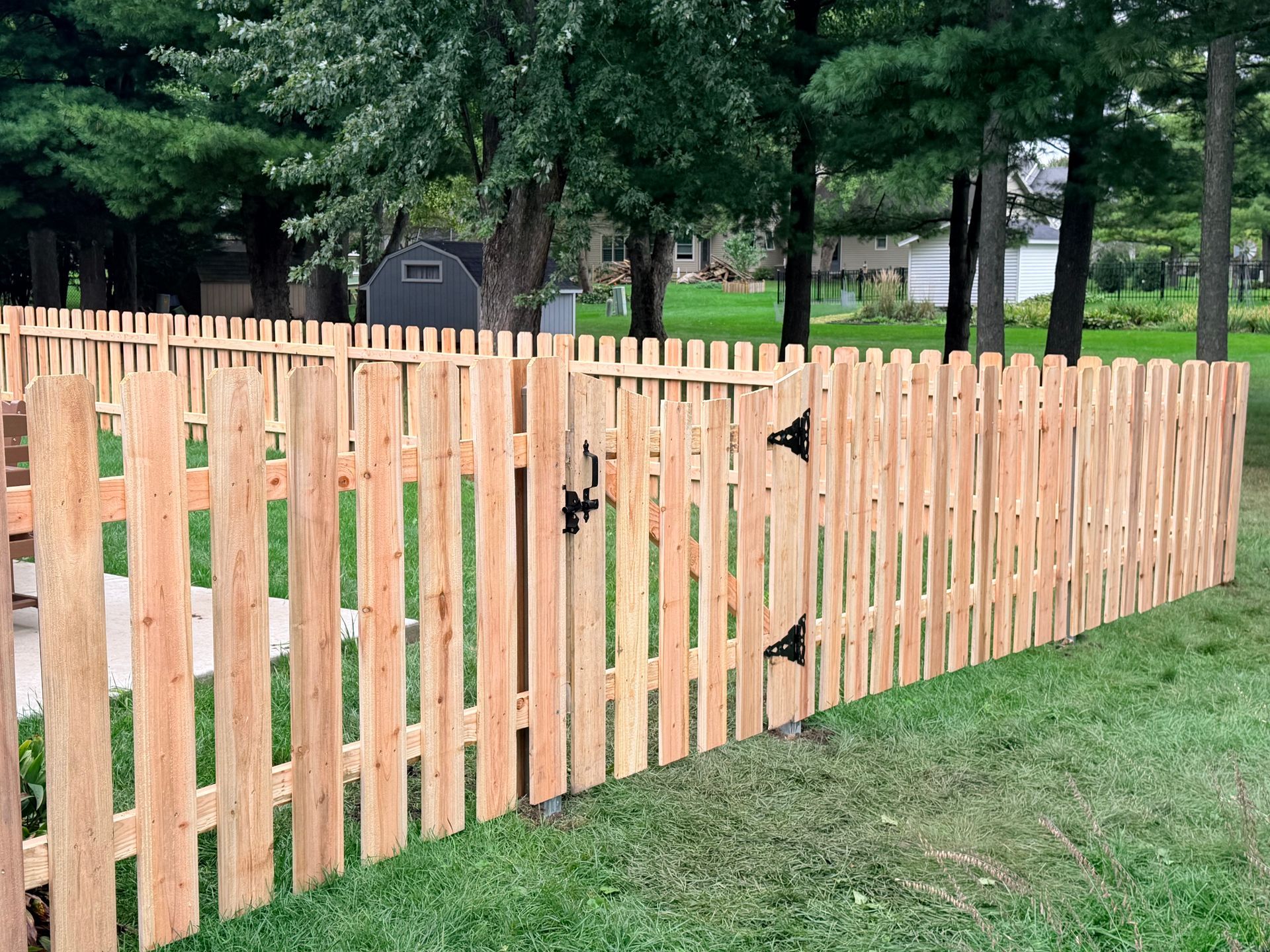 Light wood picket fence bordering a grassy yard with trees and a shed in the background