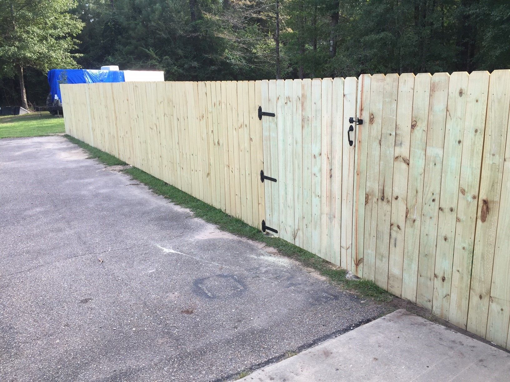 Wooden privacy fence along an asphalt driveway, with trees and blue bins in the background.