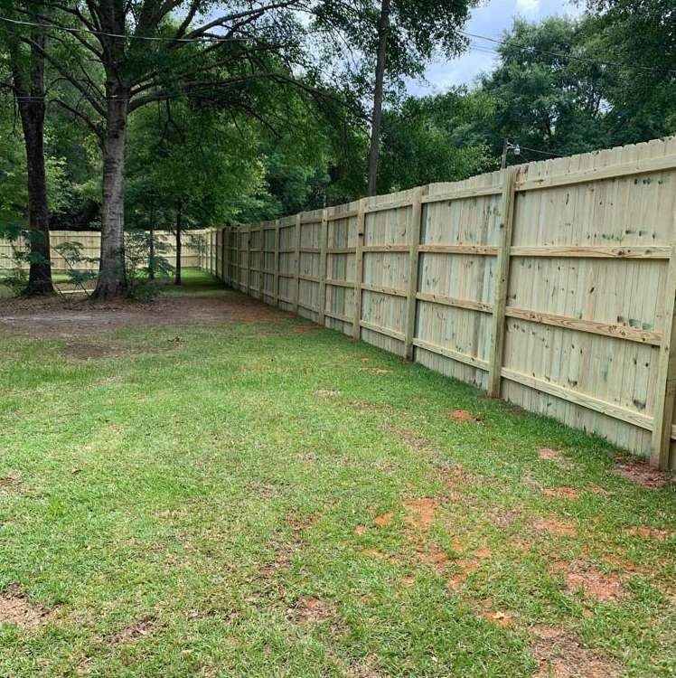 Grassy backyard with a wooden privacy fence and trees along the left side
