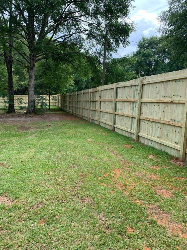 Grassy backyard with a long wooden privacy fence and tall trees along the left side.