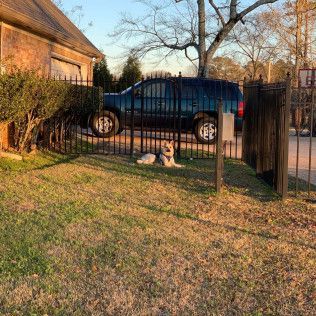 Dog sitting in a fenced yard beside a blue SUV and a brick house at sunset